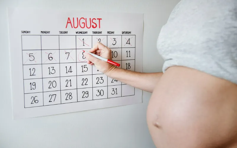 Chances Of Getting Pregnant On Ovulation Day