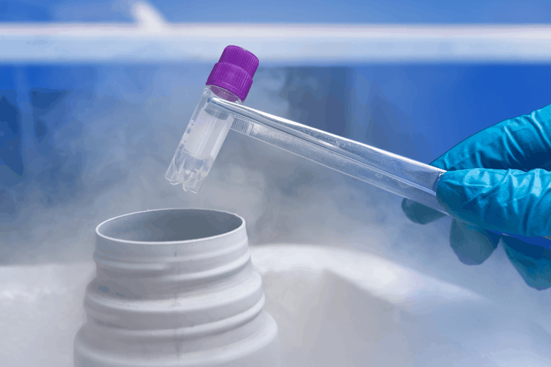 Frozen Embryo Transfer Success Rate
